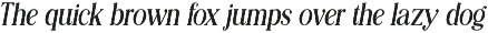 Editorial Revival Serif (70 fonts) preview