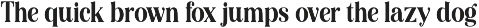 Editorial Revival Serif (70 fonts) preview