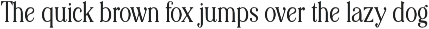 Editorial Revival Serif (70 fonts) preview