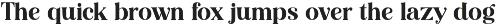 Editorial Revival Serif (70 fonts) preview