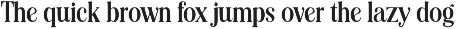 Editorial Revival Serif (70 fonts) preview