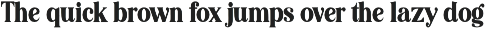 Editorial Revival Serif (70 fonts) preview