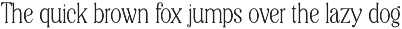 Editorial Revival Serif (70 fonts) preview