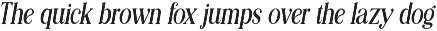 Editorial Revival Serif (70 fonts) preview
