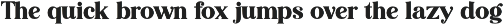 Editorial Revival Serif (70 fonts) preview