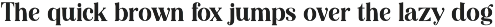 Editorial Revival Serif (70 fonts) preview