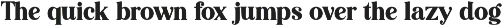 Editorial Revival Serif (70 fonts) preview