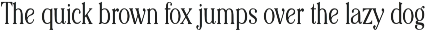 Editorial Revival Serif (70 fonts) preview