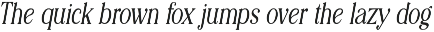 Editorial Revival Serif (70 fonts) preview