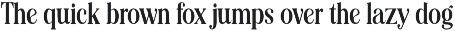 Editorial Revival Serif (70 fonts) preview