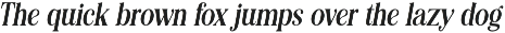 Editorial Revival Serif (70 fonts) preview