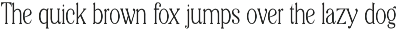 Editorial Revival Serif (70 fonts) preview