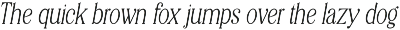 Editorial Revival Serif (70 fonts) preview