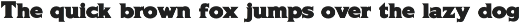 Bush Quzoq Font | Bold Chunky Serif preview