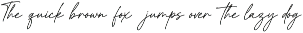 Lunetia Modern Signature Sans Duo preview
