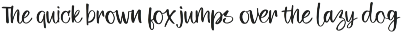 Emotional Motion - Handwritten Font preview