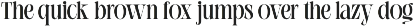 Longsile preview