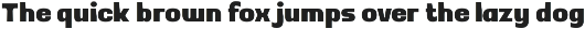 Mizun Typeface preview