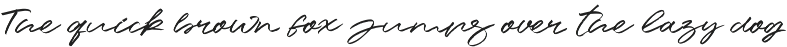 Rawwelle Handwritten Script preview