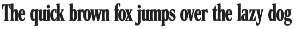 Transit Hand Drawn Serif Font Duo preview