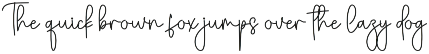 Nothing | Script Font preview