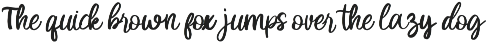 Lemon Squash Handwritten Script Font font preview