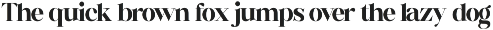 Rigstik – Display Serif Font preview