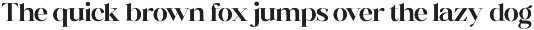 Rigstik – Display Serif Font preview