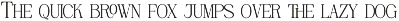 Rinovich | Display Serif Font preview