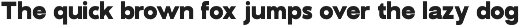 GC Fentura – Modern Structure Sans preview