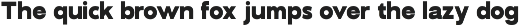GC Fentura – Modern Structure Sans preview
