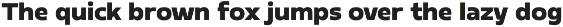 Elegtro Volt - Modern Sans for EV preview