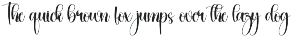 Messybun | Script Font preview