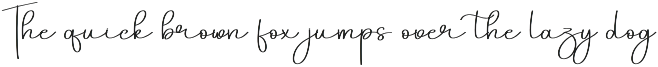 Think Autumn | Script Font preview