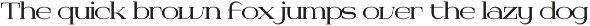 Dyrenko | Display Serif Font preview