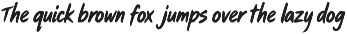 Wild Strokes-Bold Handwritten Brush preview