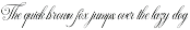 Silken Luxe - Classy Cursive Script preview
