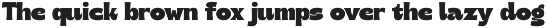 Retro Masters New Bold Display Sans font preview