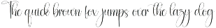 Bodycount | Script Font preview