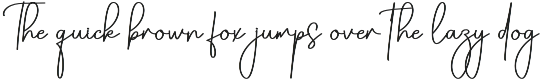 Vintage Signature | Script Font preview