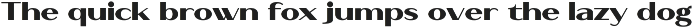 Bavero - Contemporary Sans Family preview
