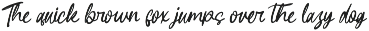 Backbudys Handwritten Ink Font preview