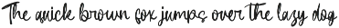 Backbudys Handwritten Ink Font preview