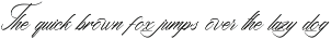 Baxcattery Groonkey Calligraphy Font preview