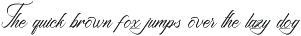 Baxcattery Groonkey Calligraphy Font preview