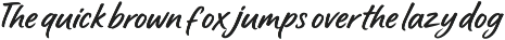 Rustline Bold Handwritten Script preview