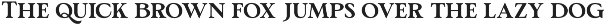 TBJ Pros Vogen Luxury Modern Serif preview