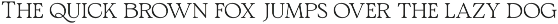 TBJ Pros Vogen Luxury Modern Serif preview