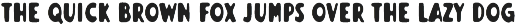 Florida Palms – Tropical Font Duo preview