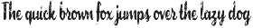 Florida Palms – Tropical Font Duo preview
